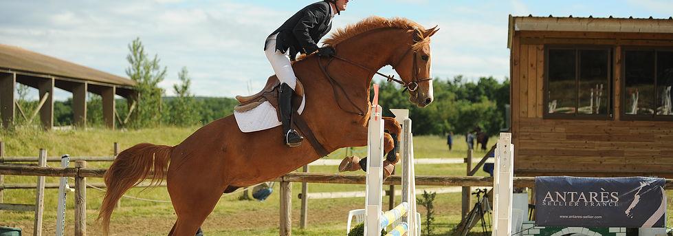 photo de Haras des 3 Bornes