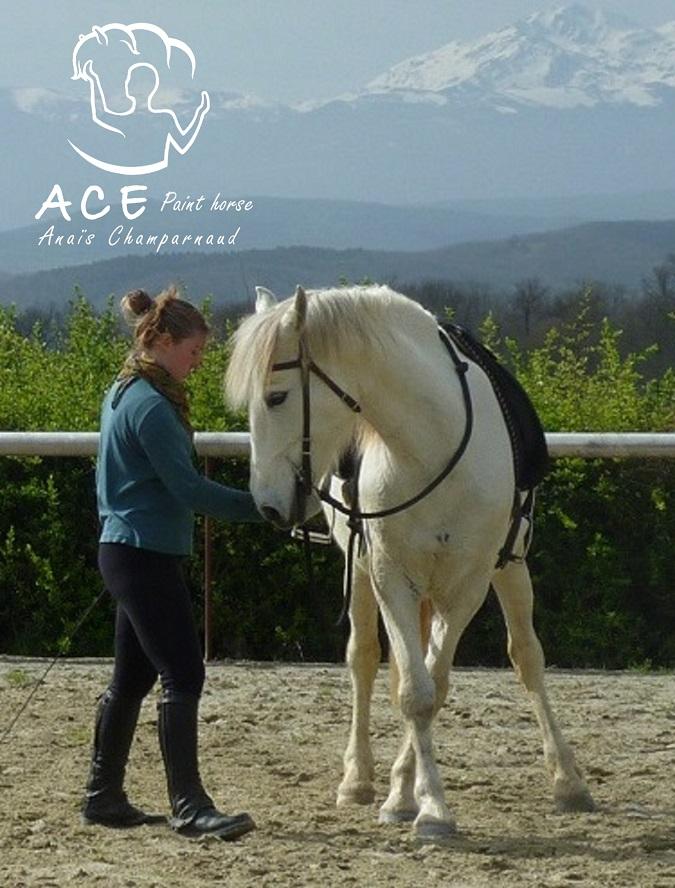 photo de ACE Paint Horse – équitation éthologique et Moutain Trail