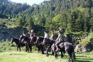 photo de Haras Picard du Sant