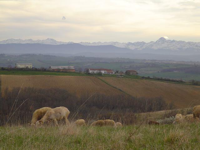 photo de Camping à la ferme La Réoule