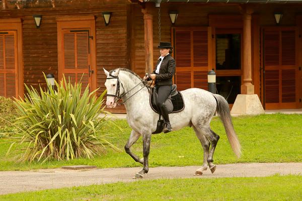 photo de École d’Équitation Équizones