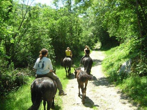 photo de Haras de Fantilhou
