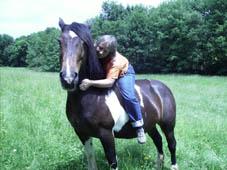 photo de Cheval Mon Ami