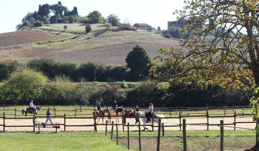 photo de Domaine de la Trille