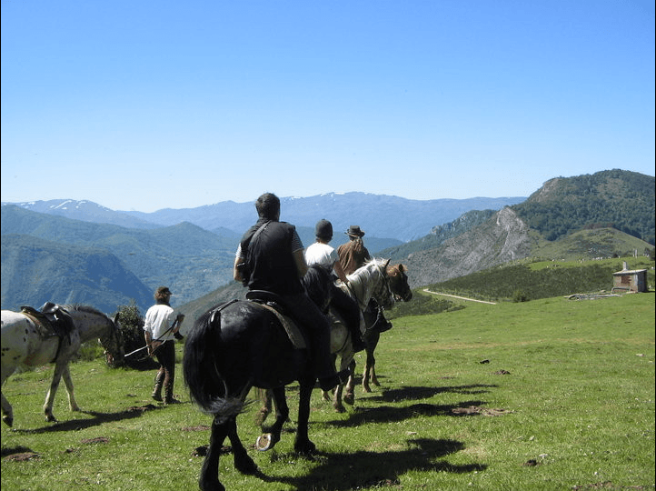 photo de Ferme Équestre les Longues Pistes