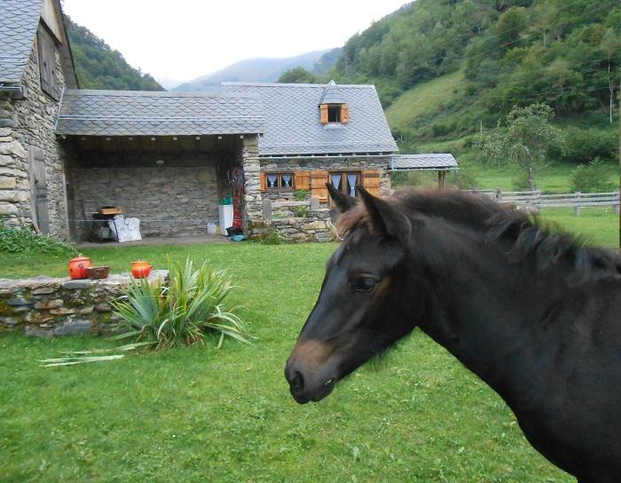 photo de Gîte le Mérens et le Castillonais