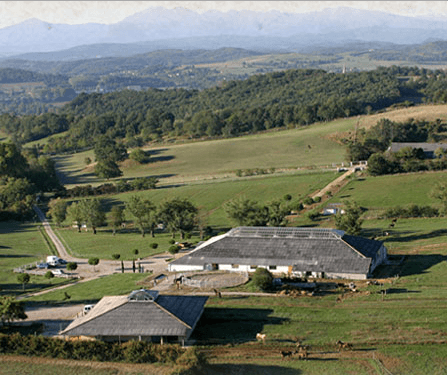 photo de L’École du Cheval